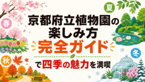 img 55968027